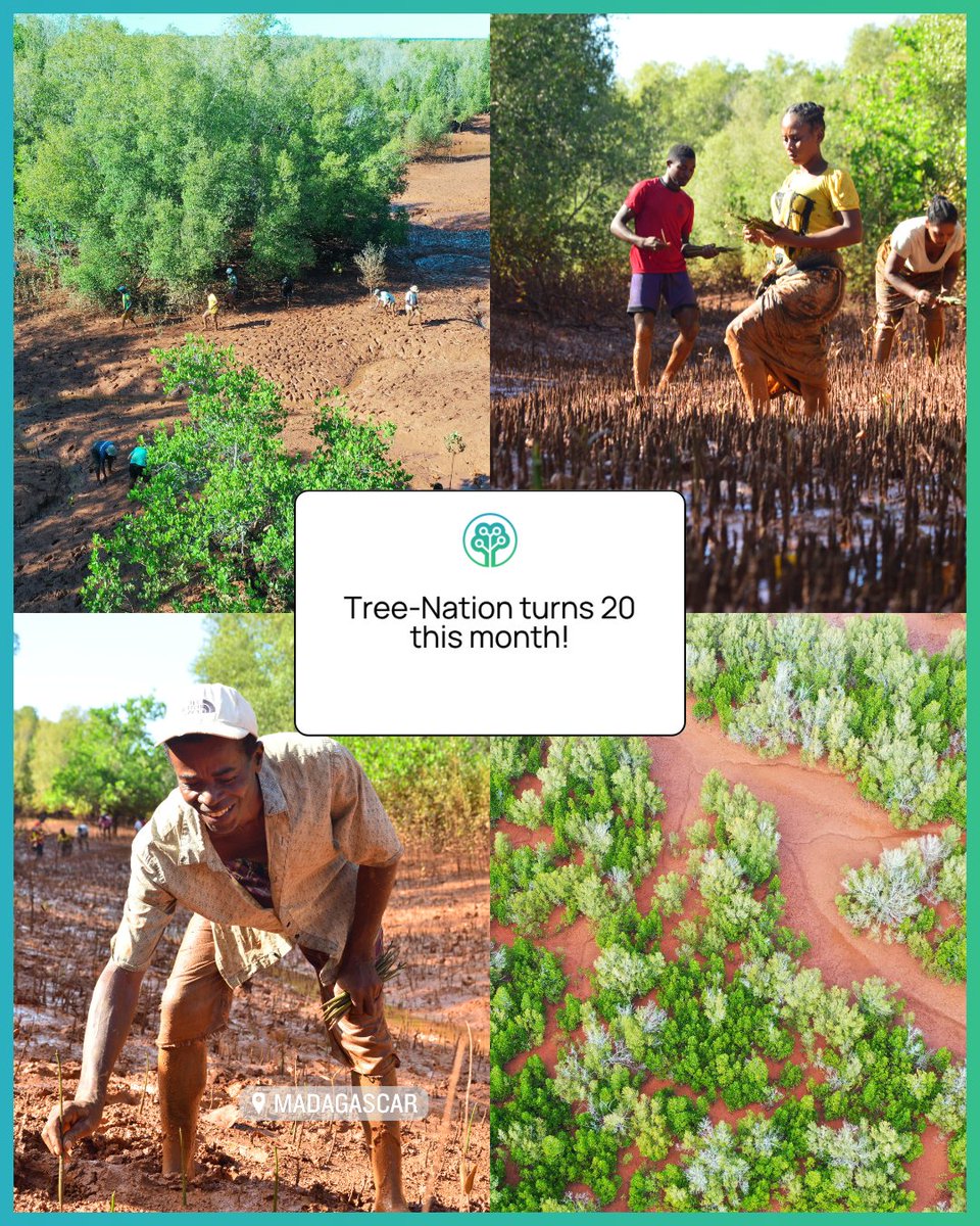 Tree-Nation tweet media