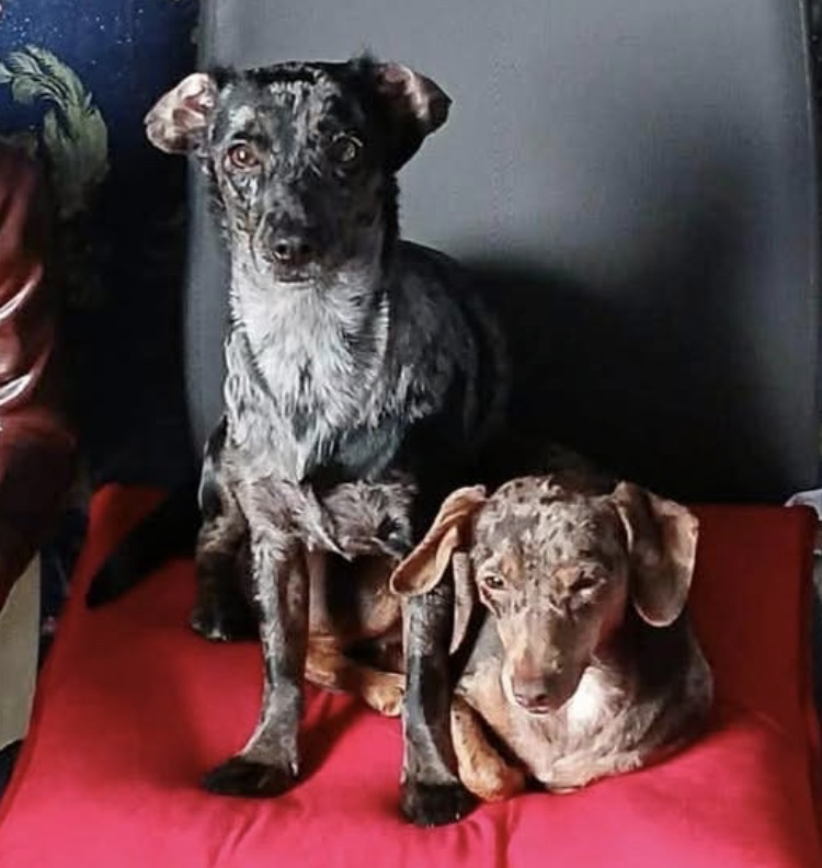 chris towers tweet media