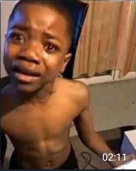 𝖑𝖊r𝖓𝖆𝖗𝖉. tweet media