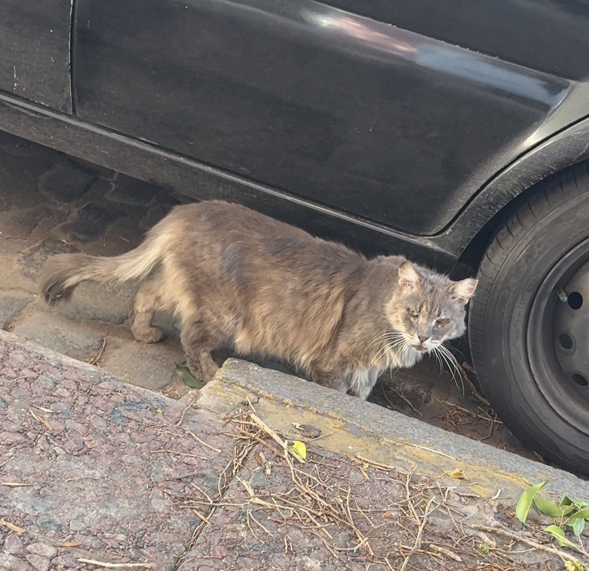 Sofi Franks🦋 tweet media