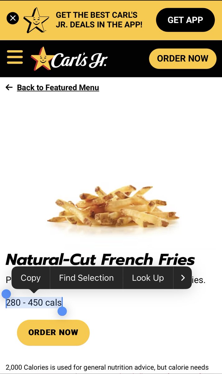 Fennec 🪽🐈‍⬛ (edtwt) tweet media