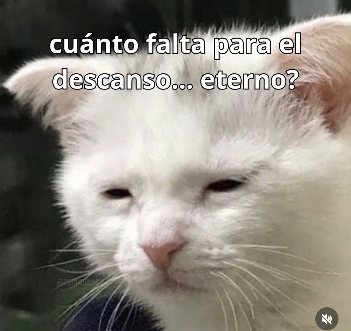 Mica Rigui tweet media