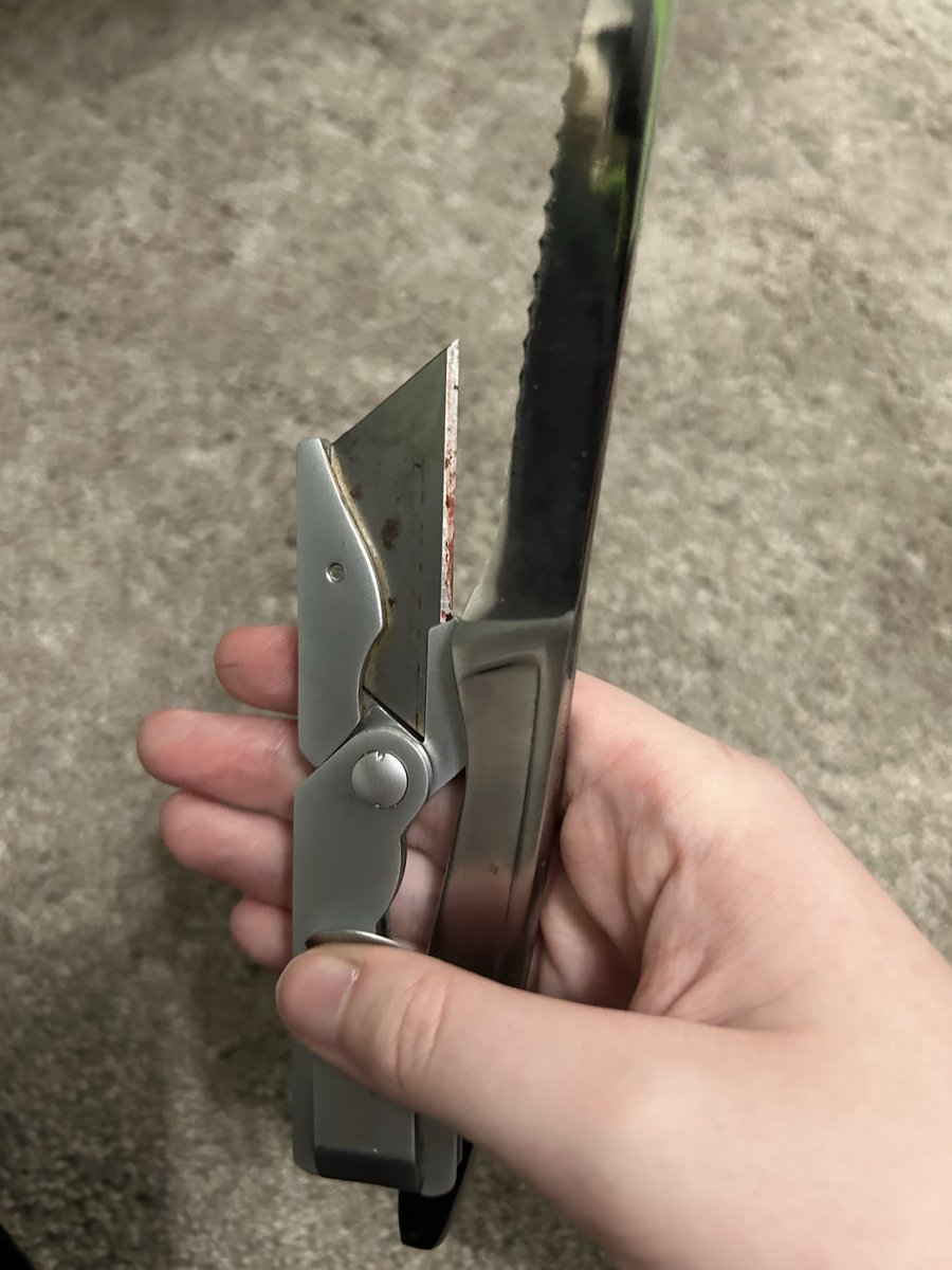 mesh 🥧 tweet media