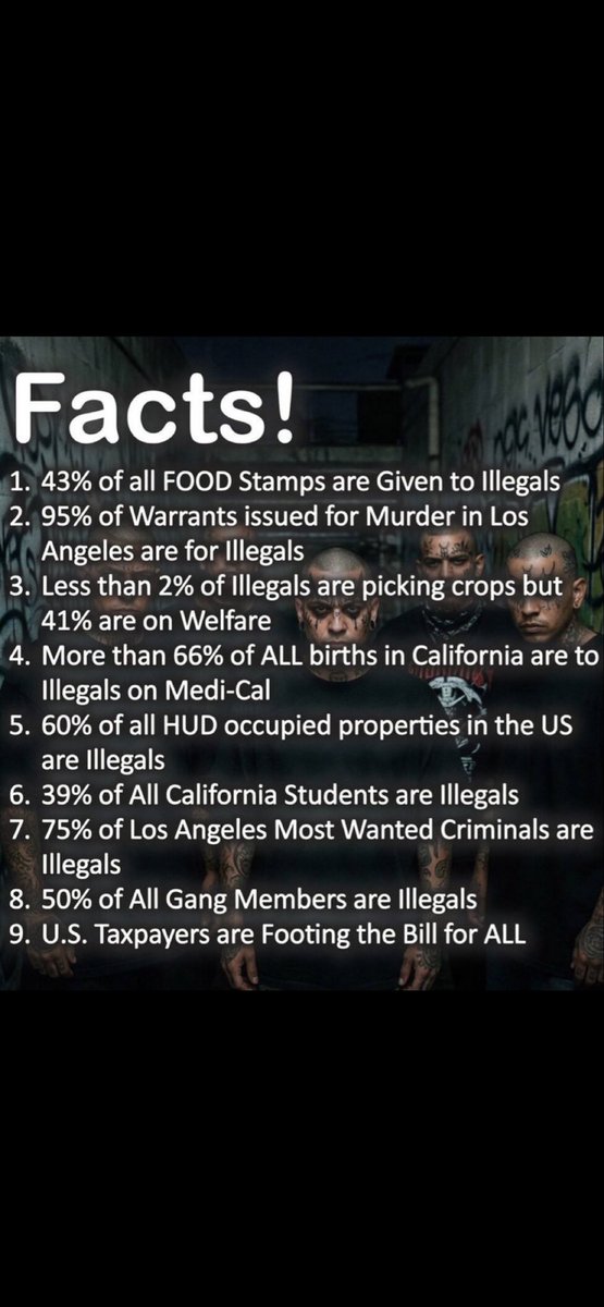 Deplorable Garbage Guy tweet media