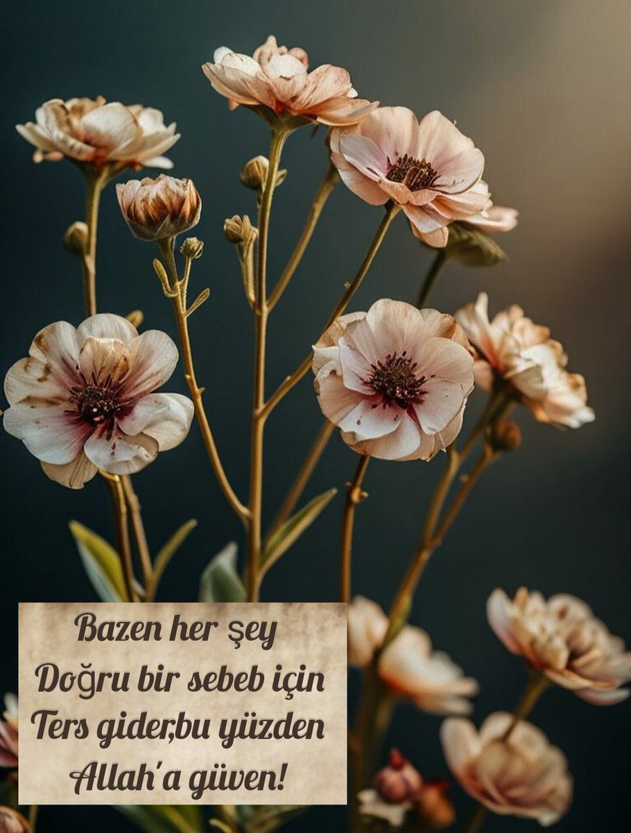 ❥❥
Tevekkül edenin hesabı olmaz
Beklentisi olmaz,telaşı kalmaz o sadece yürür
Bilir ki her yolun sonunda ya Allah'ın muradı ya da
Hikmeti vardır,bu yüzden sabırla adım atar

Kalbini incitmeden bekler ve sonun da;
"İyi ki böyle olmuş" der..."
❥❥