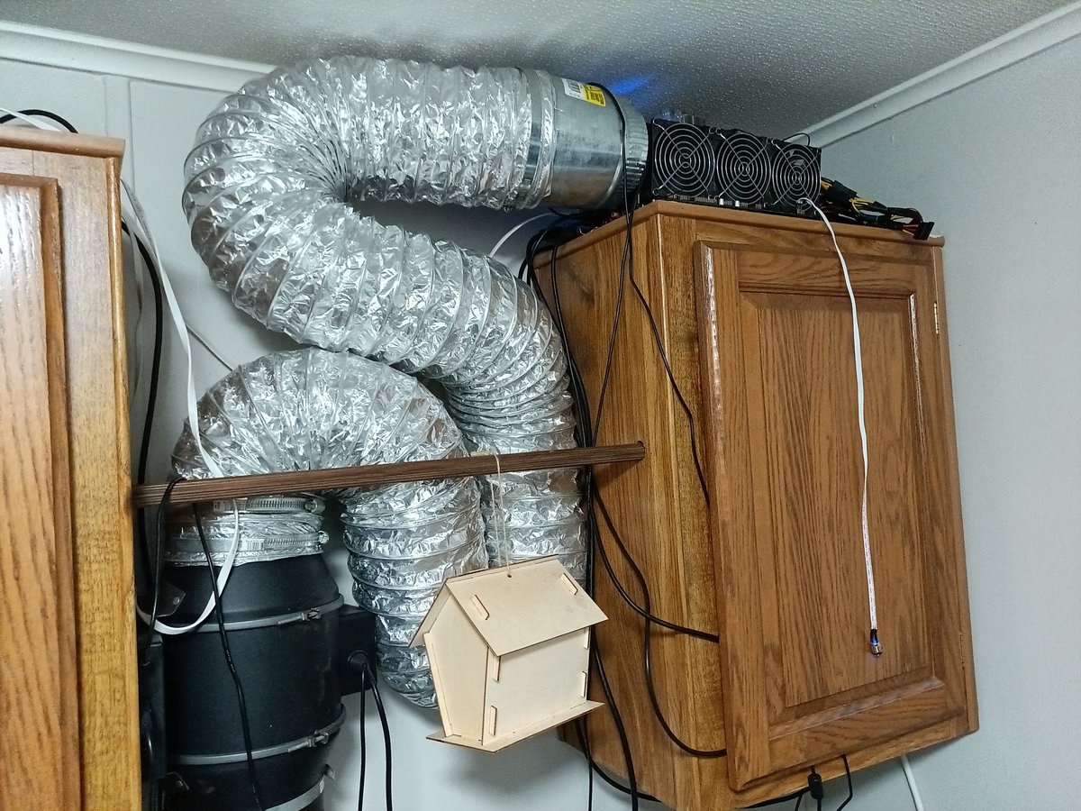 Daemonrat𒉭 (デーモンラット) tweet media