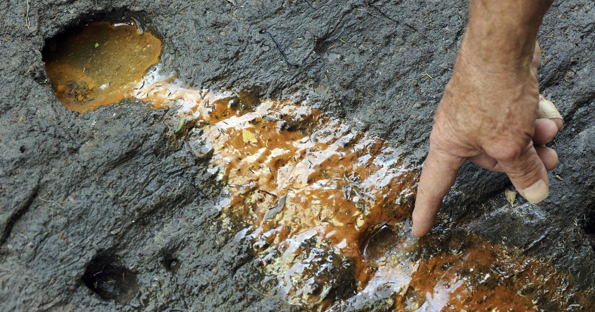 jondragon27 tweet media