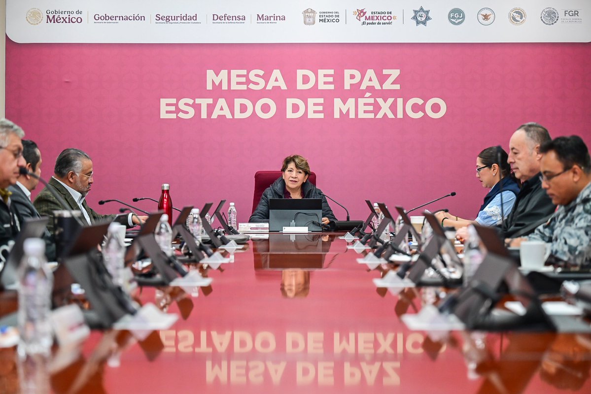 Delfina Gómez A. tweet media