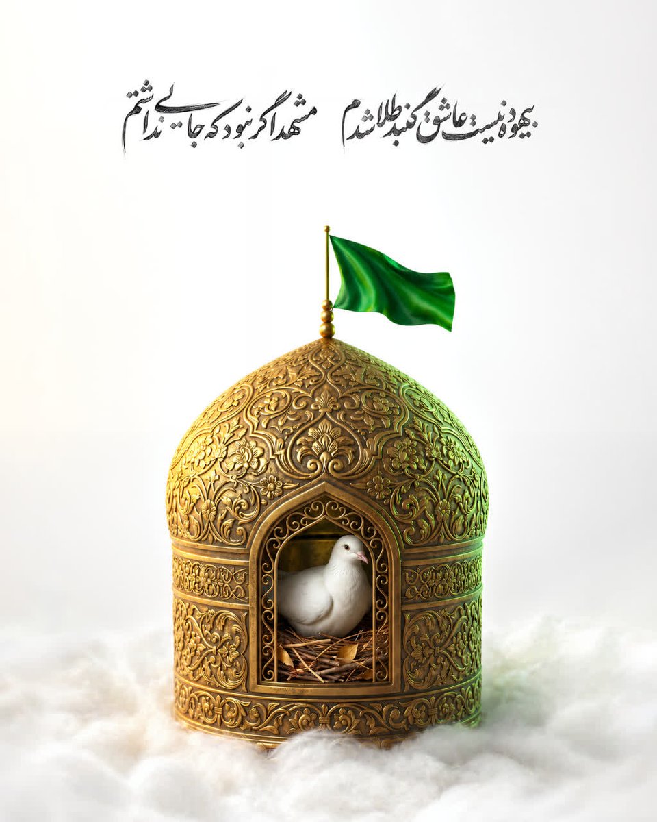 حرم امام رضا(ع) جاییه که‌هرچی بخوای  رو برات خیر میکنن ، حتی اگر خیر نباشه .. 
#ایران_امام_رضا
#صحن_رضا_جان