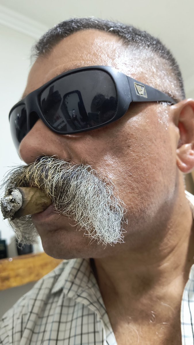 ALGUÉM QUER CAVALGAR O BIGODE ?