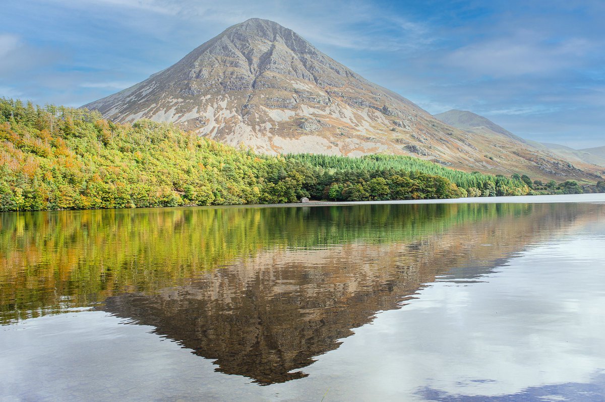 Peacock & Pickles tweet media