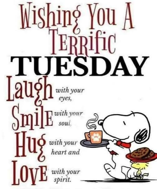 barbiesway's tweet image. "I am thankful to all who said no to me. It is because of them that I’m doing it myself" A Einstein
"You are not alone, and you are better than you think" T Ferriss
"With the new day comes new strength and new thoughts" E Roosevelt
#tuesdayvibe #TuesdayFun #tuesdaymotivations