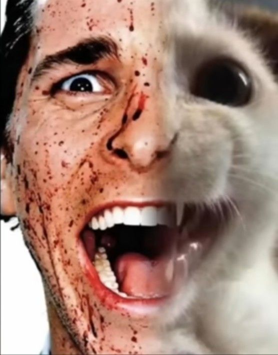 Samu Gmk🐧 tweet media