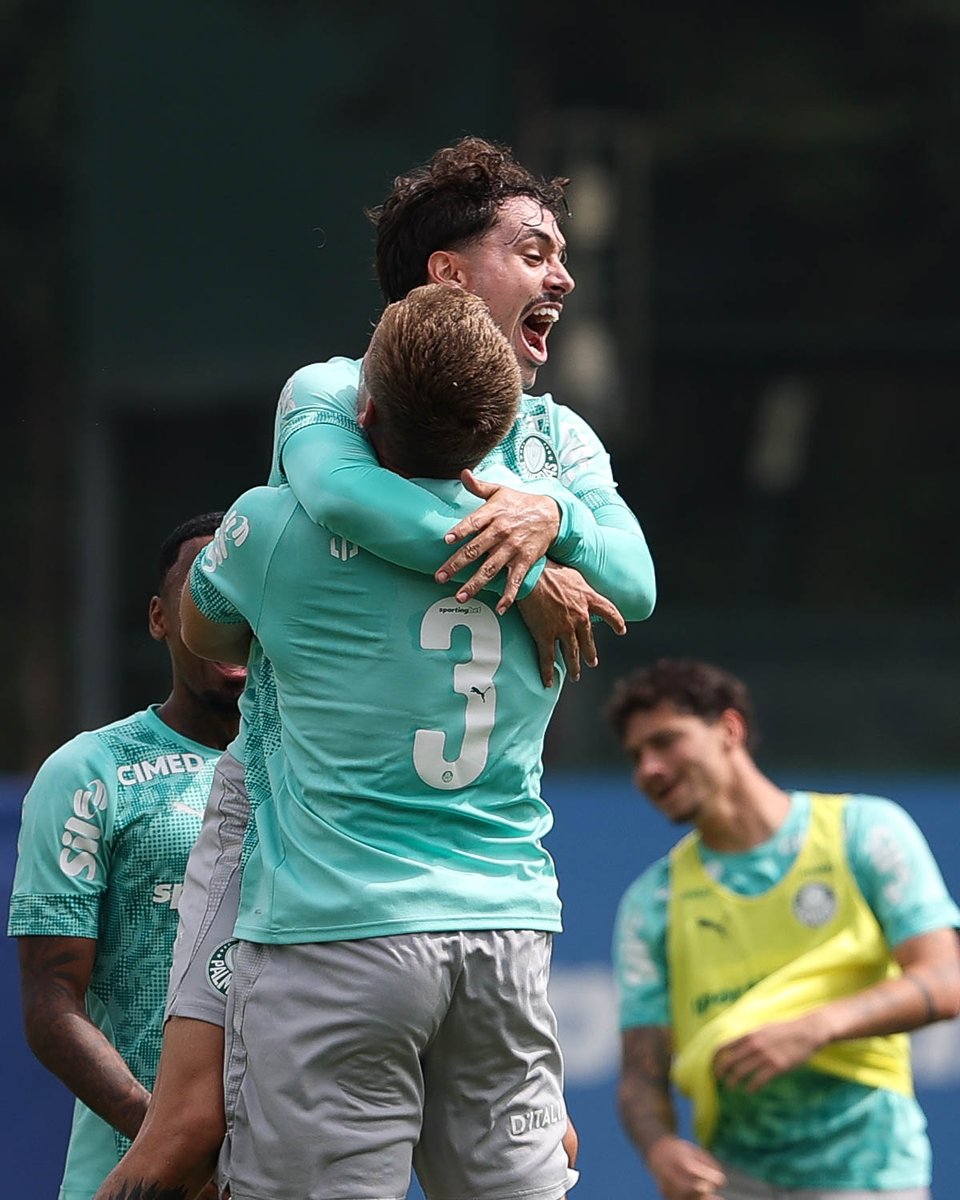 SE Palmeiras tweet media