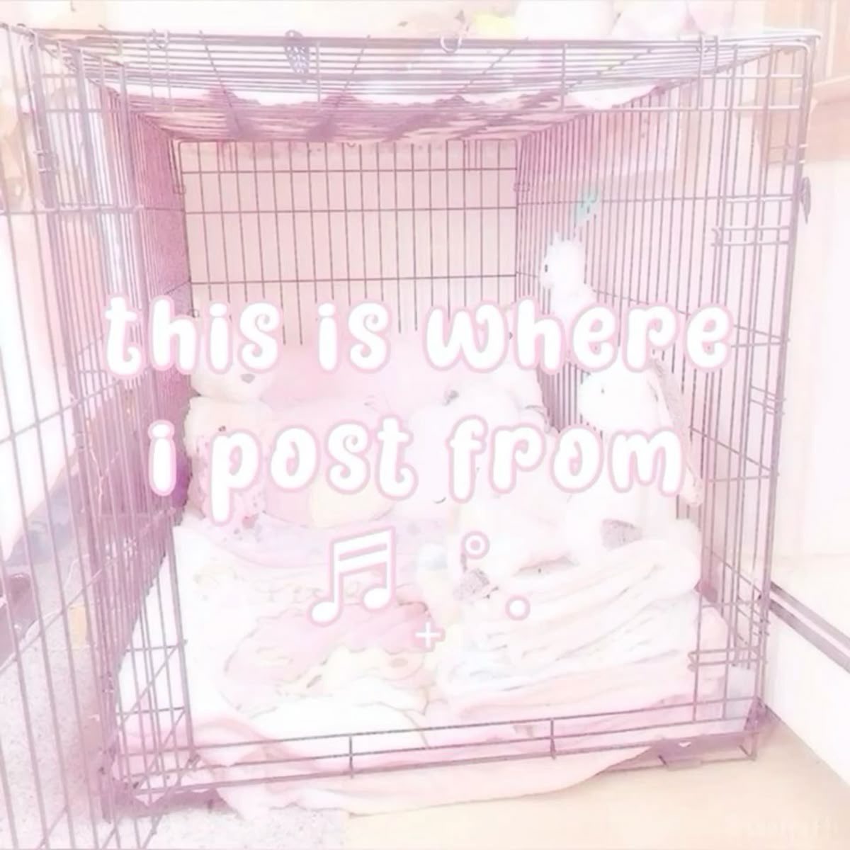 lil *:･ﾟ✧*:･ﾟ tweet media