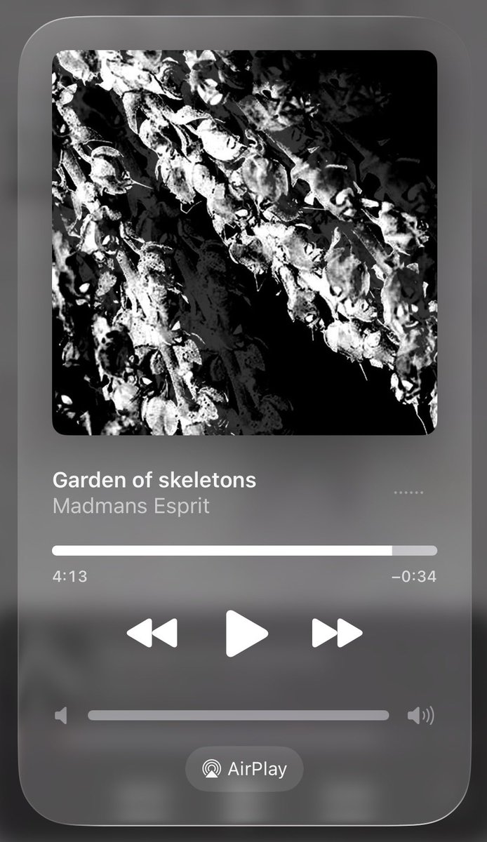 angel 𓏲🪽˚. ˖ . ݁ tweet media