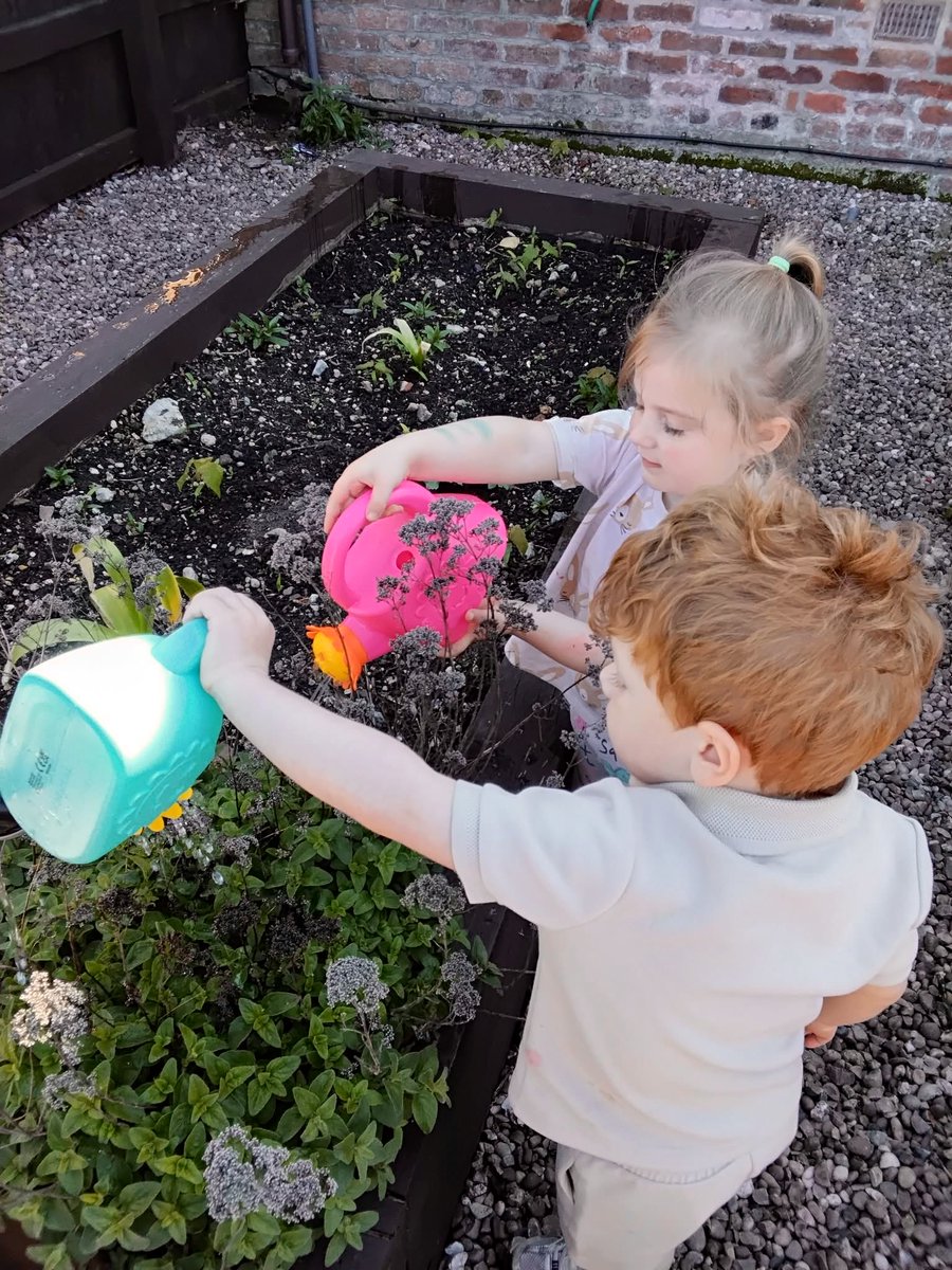 EvolutionChildC's tweet image. Our little gardeners love learning about what plants need to grow whilst developing their collaborative skills, sense of responsibility &amp;amp; natural curiosity for the world. 🌿
#EarlyYears #LearningThroughPlay #LittleGardeners #NurseryLife
