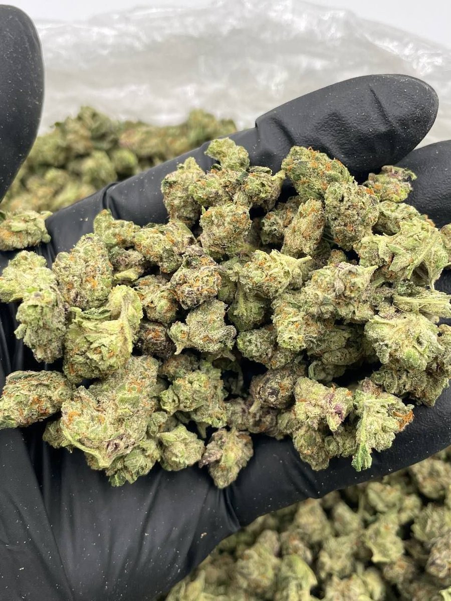 Georgiabuds's tweet photo. Weed Svetitskhoveli Cathedral, Weed Jvari Monastery, Weed Kazbegi, Weed Gergeti Trinity Church, Weed Stepantsminda, Weed Gudauri, Weed Svaneti, Weed Mestia, Weed Ushguli, Weed Chalaadi Glacier, Weed Borjomi

https://t.co/27Xk0qPXU8 https://t.co/SJvKSNnpFC