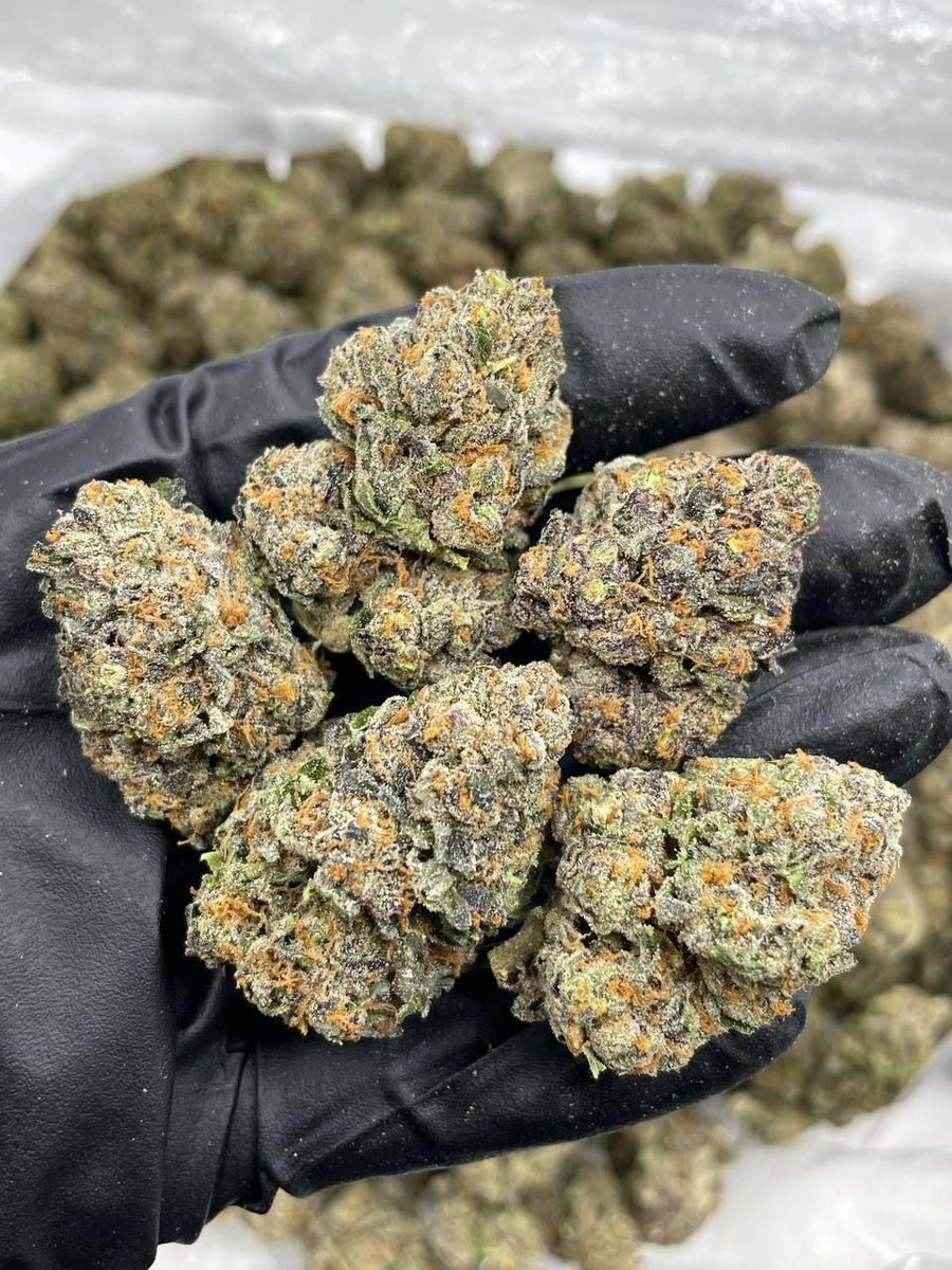 Georgiabuds's tweet photo. Weed Svetitskhoveli Cathedral, Weed Jvari Monastery, Weed Kazbegi, Weed Gergeti Trinity Church, Weed Stepantsminda, Weed Gudauri, Weed Svaneti, Weed Mestia, Weed Ushguli, Weed Chalaadi Glacier, Weed Borjomi

https://t.co/27Xk0qPXU8 https://t.co/SJvKSNnpFC