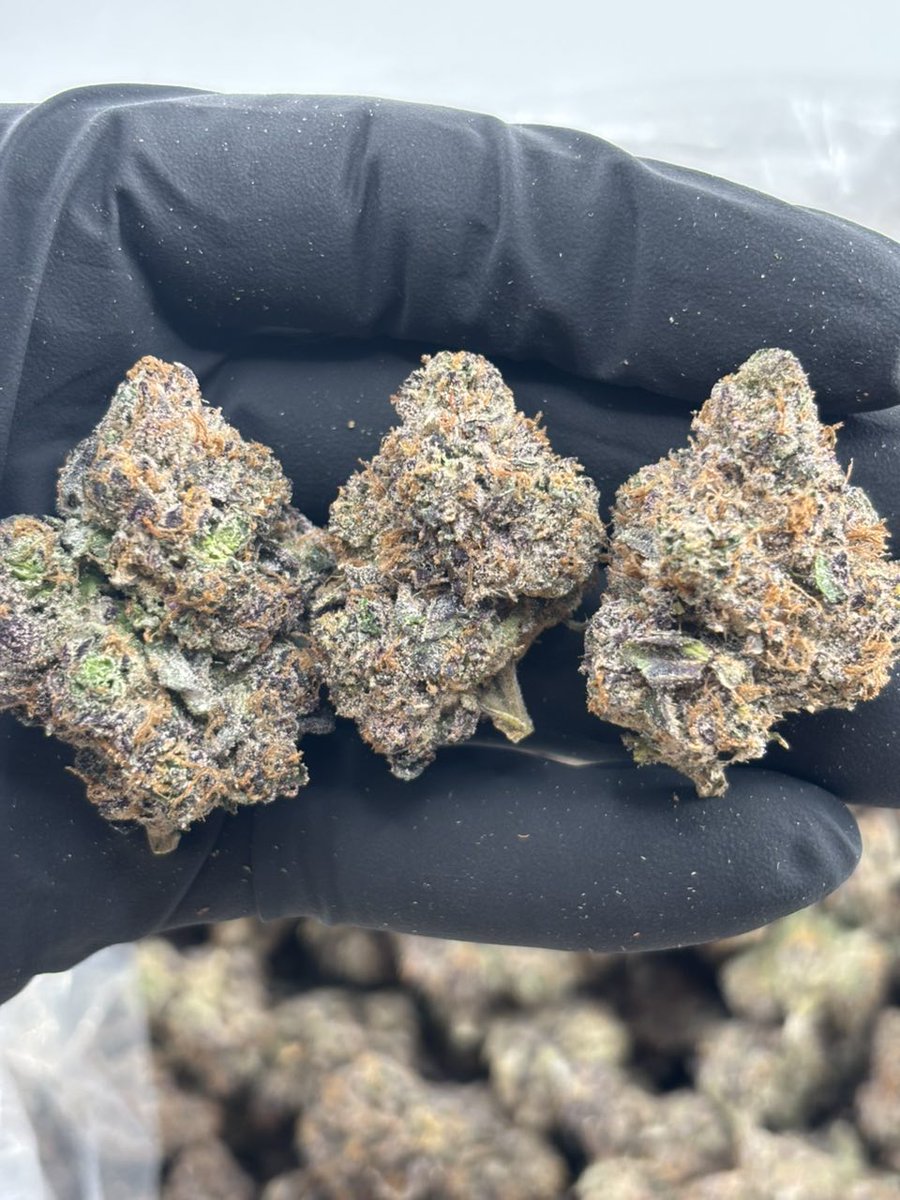 Georgiabuds's tweet photo. Weed Svetitskhoveli Cathedral, Weed Jvari Monastery, Weed Kazbegi, Weed Gergeti Trinity Church, Weed Stepantsminda, Weed Gudauri, Weed Svaneti, Weed Mestia, Weed Ushguli, Weed Chalaadi Glacier, Weed Borjomi

https://t.co/27Xk0qPXU8 https://t.co/SJvKSNnpFC