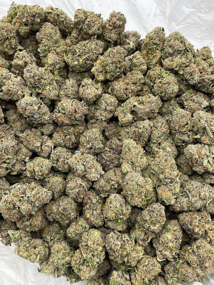 Georgiabuds's tweet photo. Weed Svetitskhoveli Cathedral, Weed Jvari Monastery, Weed Kazbegi, Weed Gergeti Trinity Church, Weed Stepantsminda, Weed Gudauri, Weed Svaneti, Weed Mestia, Weed Ushguli, Weed Chalaadi Glacier, Weed Borjomi

https://t.co/27Xk0qPXU8 https://t.co/SJvKSNnpFC