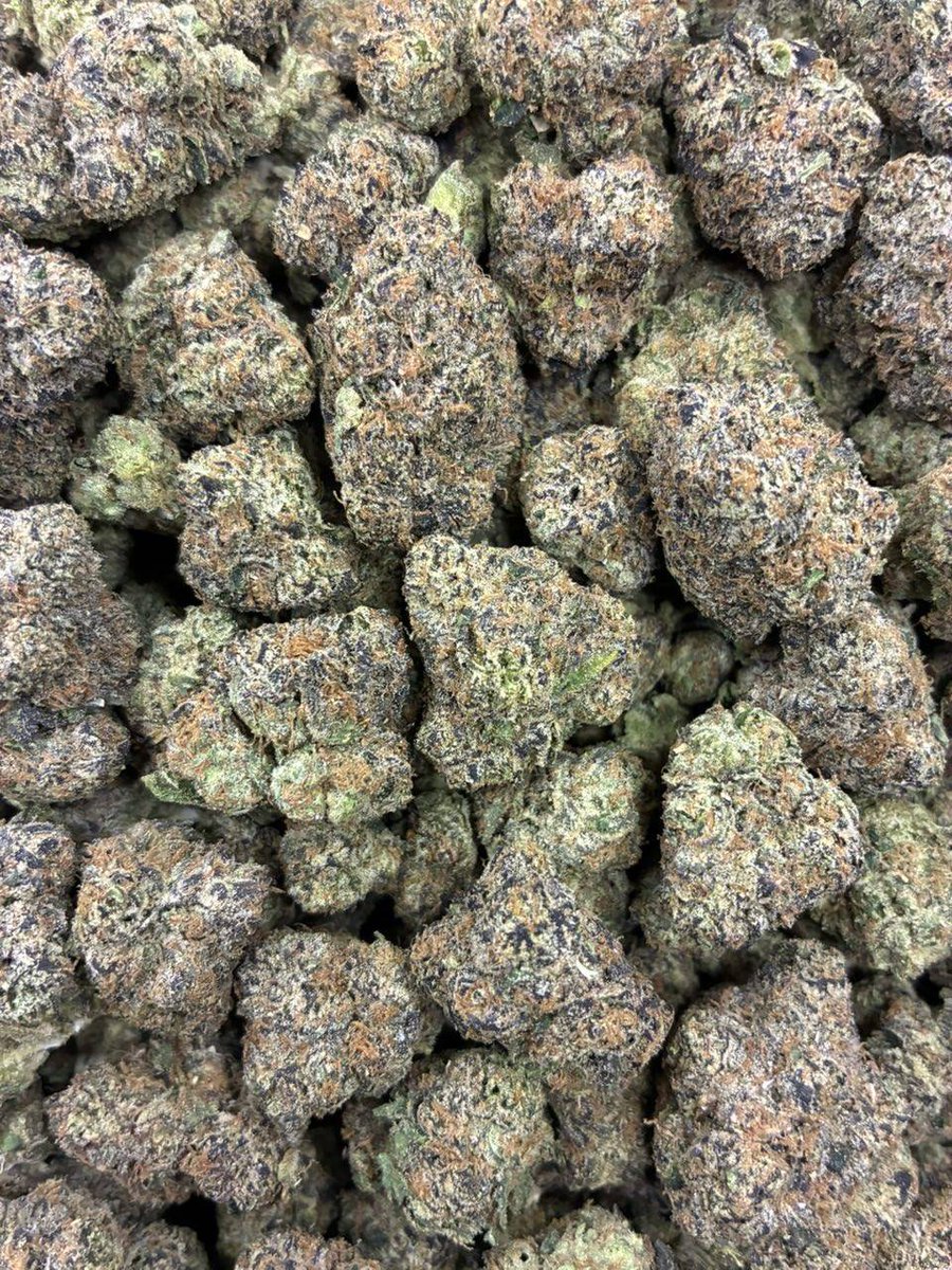 Georgiabuds's tweet photo. Weed Bakuriani, Weed Vardzia (cave city), Weed Rabati Castle, Weed Akhaltsikhe, Weed Signagi, Weed Sighnaghi, Weed Telavi, Weed Alaverdi Monastery, Weed Tusheti, Weed Omalo, Weed Lagodekhi National Park, Weed David Gareja Monastery, Weed Uplistsikhe
https://t.co/27Xk0qPXU8 https://t.co/ClNdFOG4Vg