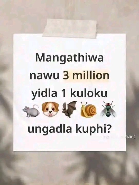 Nonkululeko Mhlongo tweet media