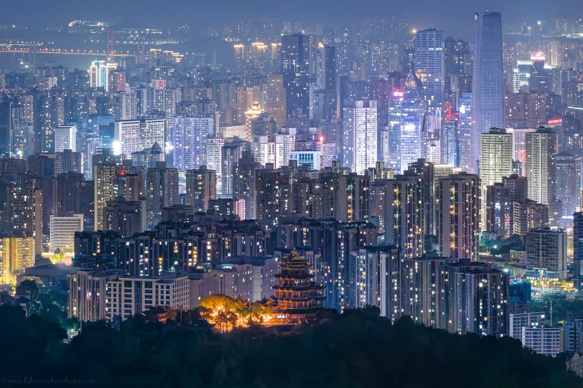 Noah Smith 🐇🇺🇸🇺🇦🇹🇼 tweet media