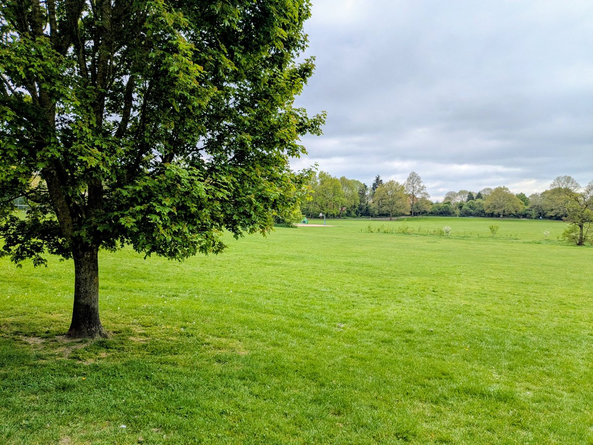 clairevhill's tweet image. Walk today, was quite a cold wind! #Knowle #park #friend #cafe