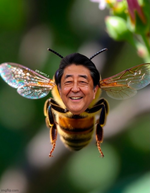 BlimpCo Omniversal tweet media