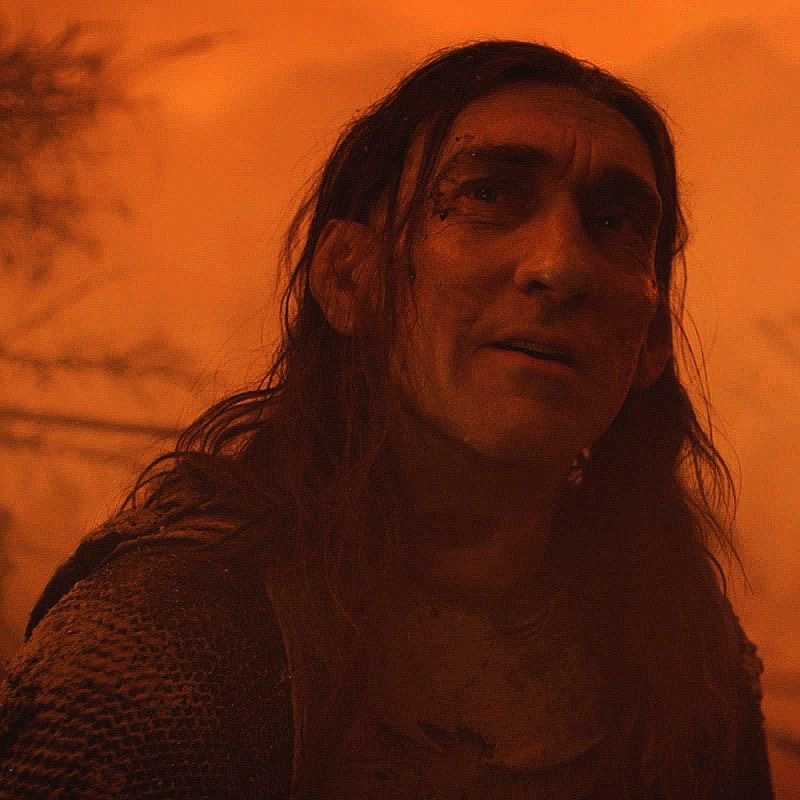 pippin 🌾 ceo of silvanscars tweet media