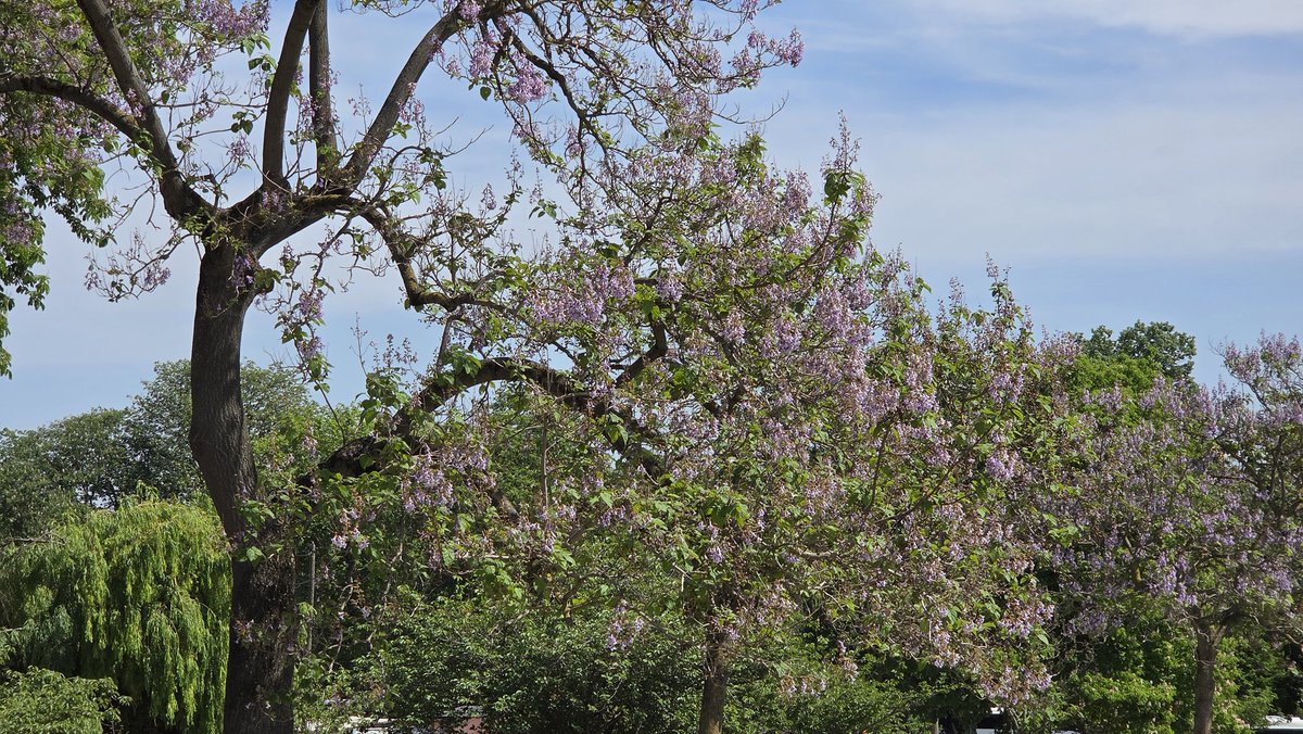 ᯓ★𝘳𝘰𝘮𝘺⁺¹ tweet media