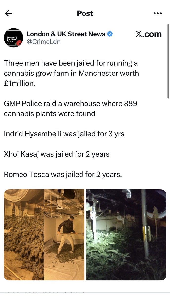 Britain for Trump tweet media