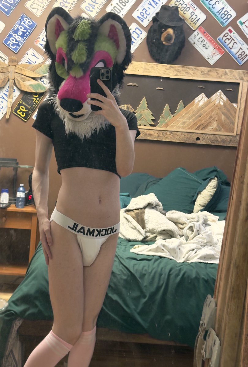 Pitaya 🔜 AC tweet media