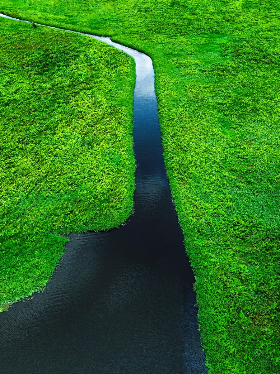 Segunadewalee_'s tweet image. THE BEAUTY OF NATURE COLLECTION ON @TransientLabs 

Auction Price 0.13 Eth ( each ) 

#Dronephotography

Link below 👇 ( Open to offers )