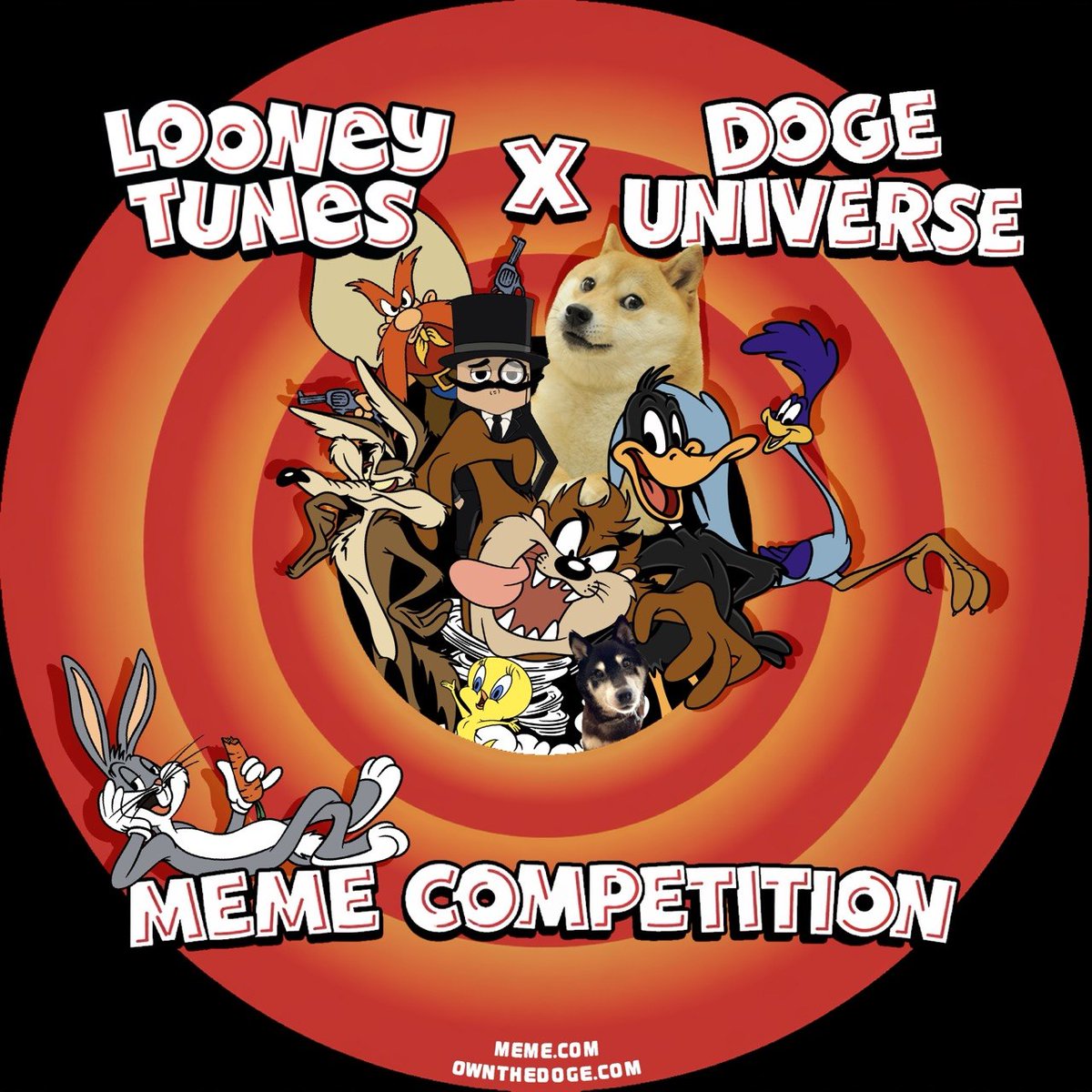 Own The Doge 🐶🖼 tweet media