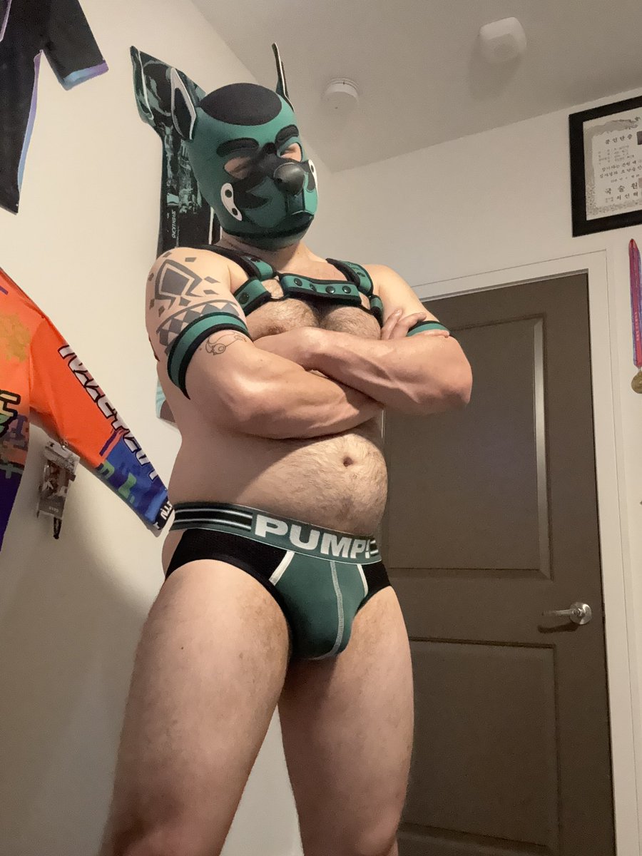 ThatPupNamedTex🔜 seven lions🔜MarketDays tweet media