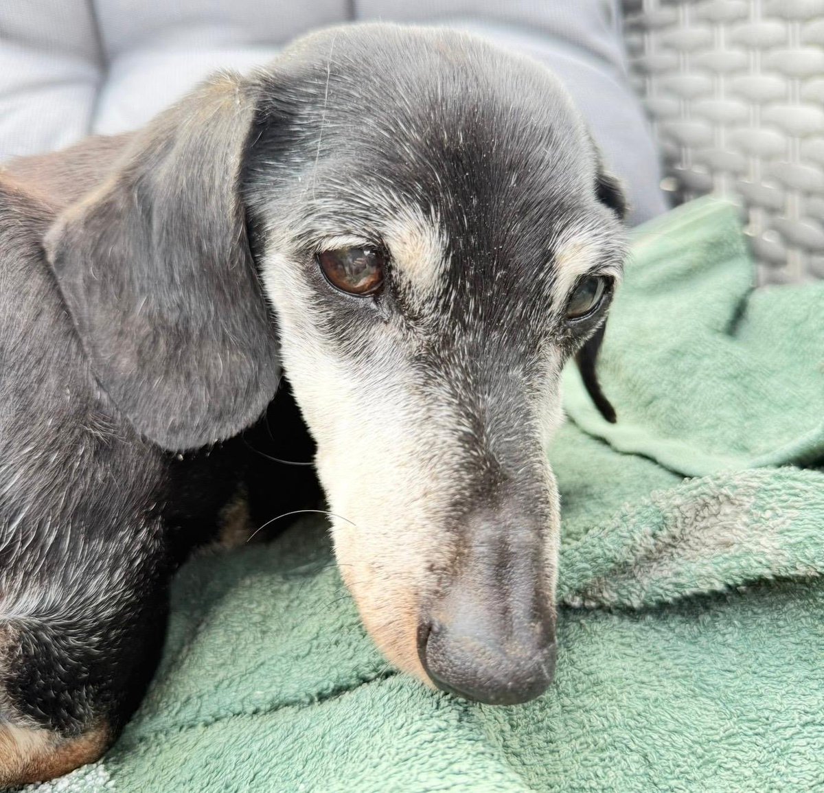 chris towers tweet media