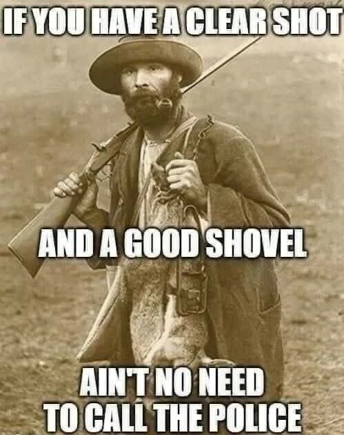 Remi_Grl2's tweet photo. 🎯 https://t.co/asqsCyk4rN