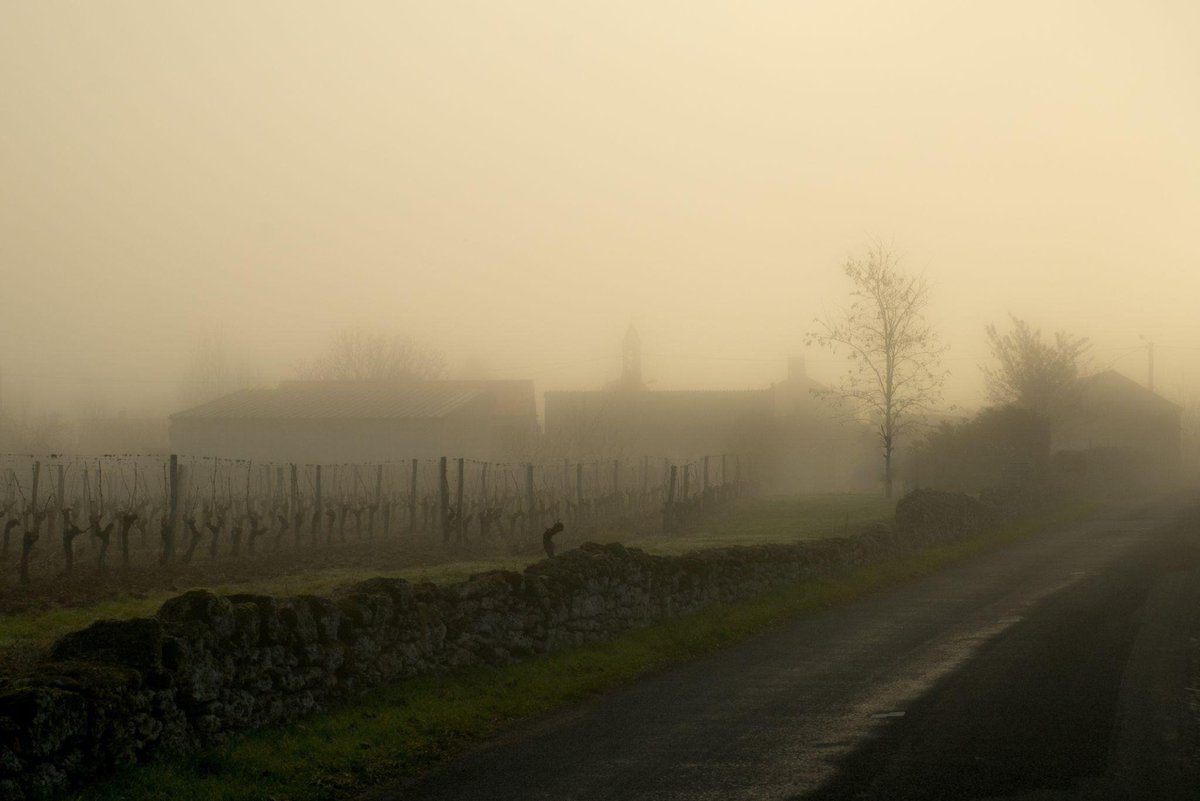 oopsallsolace's tweet image. Sorry about the radio silence, been out collecting references and wrestling with multiplayer code (up to 4P split in online per client 👀)

Not much visual progress to share just yet, but a lot is happening behind the scenes!!

More updates on Discord 👇
#LegionofHonorGame #indie