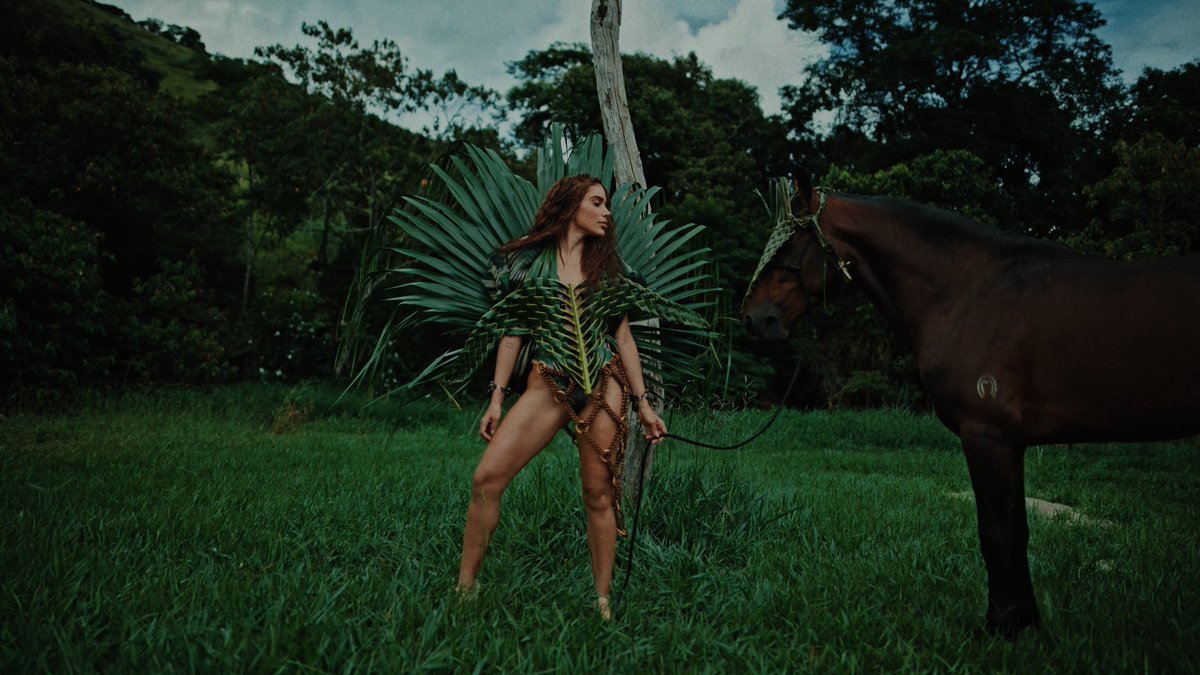 QG da Anitta tweet media