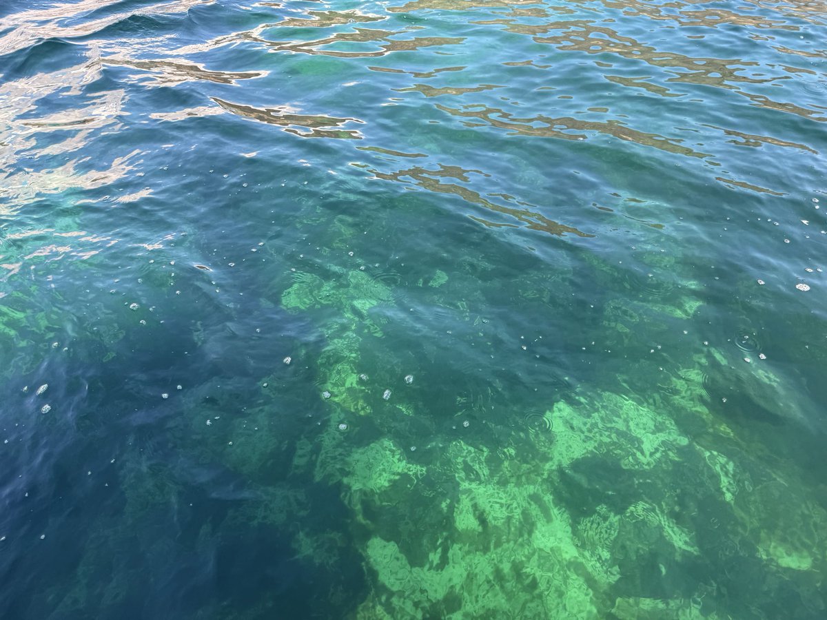 Paul King tweet media