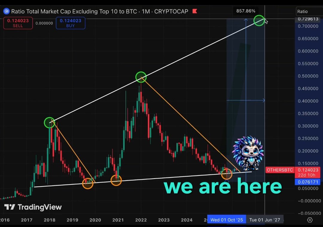 Cyberhog tweet media