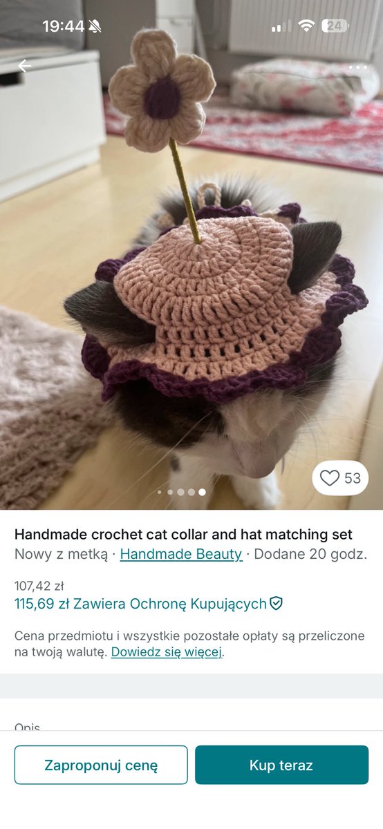 oldzia sroldzia 🦦 tweet media