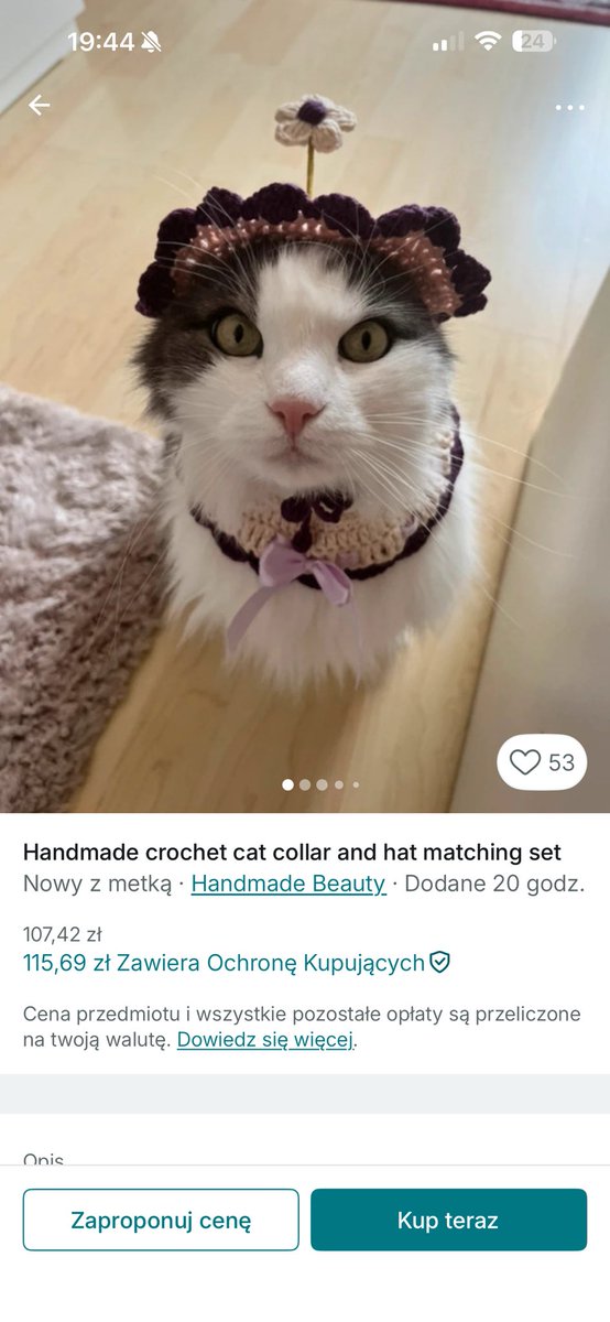 oldzia sroldzia 🦦 tweet media