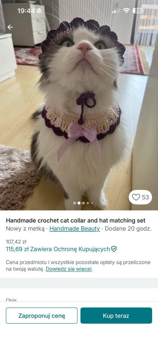 oldzia sroldzia 🦦 tweet media