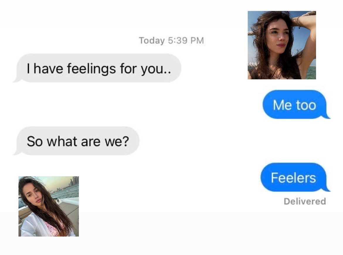 🐈‍⬛ tweet media