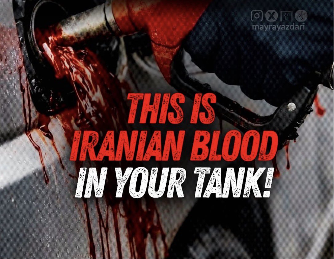 Mey Sho 🇮🇷👑🇮🇱🇺🇸 tweet media