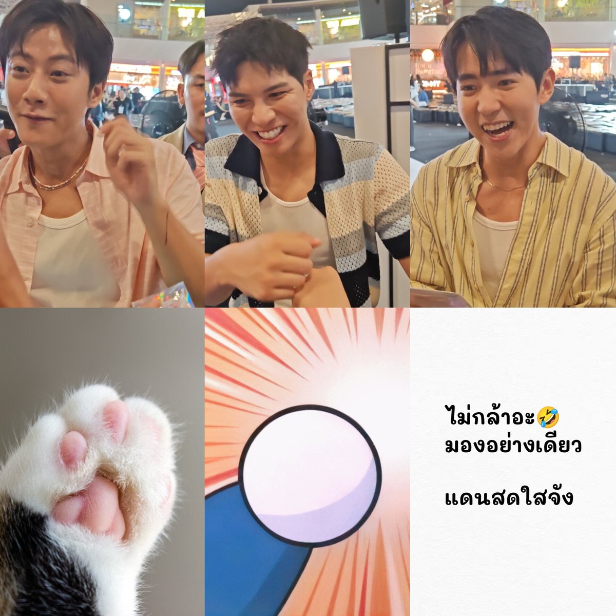 Mari TheCat tweet media
