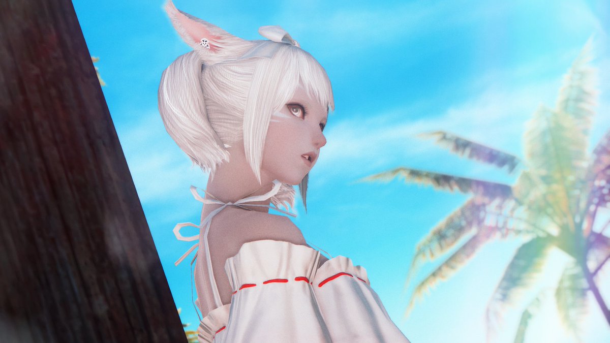 🤍SOM🤍 tweet media